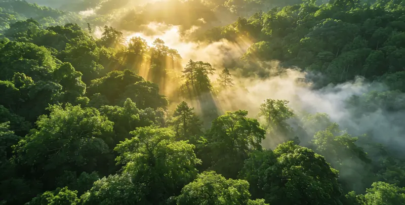 杭州肺癌172基因检测图片1